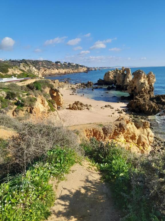 Estudio Puertorico T0 Em Albufeira Gale Екстер'єр фото